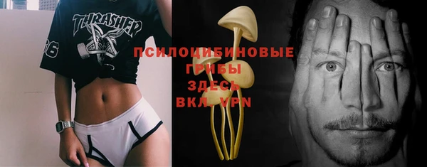 ПСИЛОЦИБИНОВЫЕ ГРИБЫ Алзамай