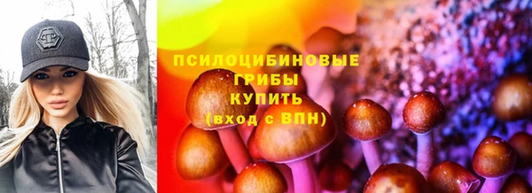 ПСИЛОЦИБИНОВЫЕ ГРИБЫ Алзамай