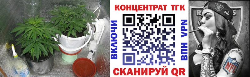 ТГК гашишное масло  darknet Telegram  Касли  OMG сайт 