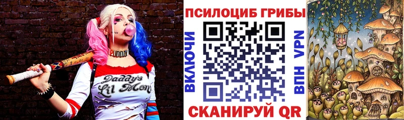 Галлюциногенные грибы мухоморы  наркотики  Касли 